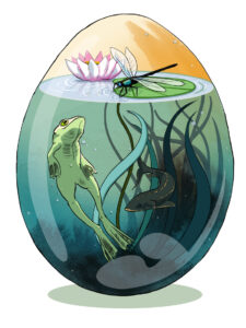 Illustration von Malte Knaack