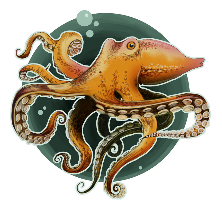 Illustration von Malte Knaack